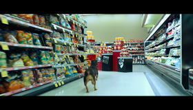 Путь домой [Blu-ray] / A Dog's Way Home
