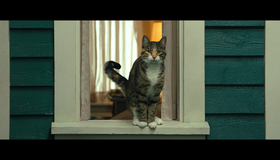 Путь домой [Blu-ray] / A Dog's Way Home