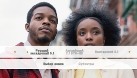 Если Бил-стрит могла бы заговорить [Blu-ray] / If Beale Street Could Talk