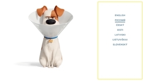 Тайная жизнь домашних животных 2 [Blu-ray] / The Secret Life of Pets 2
