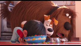Тайная жизнь домашних животных 2 [Blu-ray] / The Secret Life of Pets 2