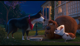 Тайная жизнь домашних животных 2 [Blu-ray] / The Secret Life of Pets 2