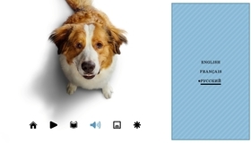 Собачья жизнь 2 [Blu-ray] / A Dog's Journey