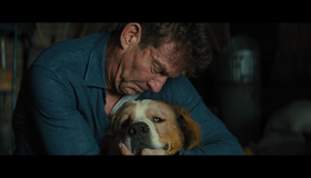 Собачья жизнь 2 [Blu-ray] / A Dog's Journey