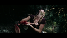 Капкан [Blu-ray] / Crawl
