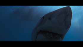 Челюсти [4K UHD Blu-ray] / Jaws (4K)