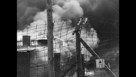 Память о лагерях [Blu-ray] / German Concentration Camps Factual Survey