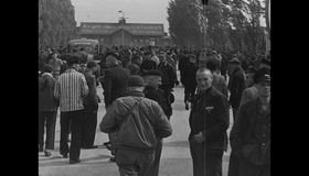 Память о лагерях [Blu-ray] / German Concentration Camps Factual Survey