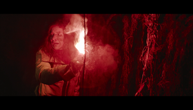 Вдова [Blu-ray] / The Widow