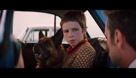 Пальма [Blu-ray] / Palma