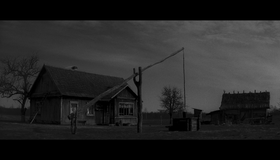Раскрашенная птица [Blu-ray] / The Painted Bird