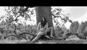 Раскрашенная птица [Blu-ray] / The Painted Bird