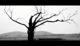 Цвет [Blu-ray] / Die Farbe
