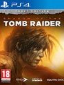 Тень расхитительницы гробниц (Издание Croft) / Shadow of the Tomb Raider. Croft Edition (PS4)