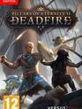 Столпы вечности 2: Мёртвый огонь (Расширенное издание) / Pillars of Eternity II: Deadfire. Ultimate Edition (Nintendo Switch)