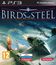 Стальные птицы / Birds of Steel (PS3)