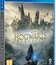 Хогвартс. Наследие / Hogwarts Legacy (PS4)