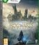 Хогвартс. Наследие / Hogwarts Legacy (Xbox One)
