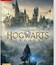 Хогвартс. Наследие / Hogwarts Legacy (Nintendo Switch)