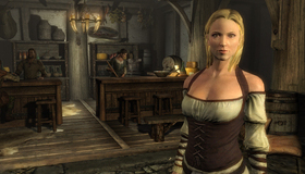 Древние Свитки V: Скайрим / The Elder Scrolls V: Skyrim (Xbox 360)