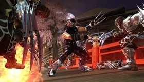  / Ninja Gaiden 2 (Xbox 360)