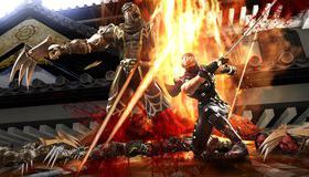  / Ninja Gaiden 2 (Xbox 360)