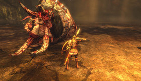 В поисках золотого руна / Rise of the Argonauts (PS3)