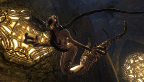 Kingdoms of Amalur: Reckoning / Kingdoms of Amalur: Reckoning (PS3)