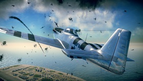 Стальные птицы / Birds of Steel (PS3)