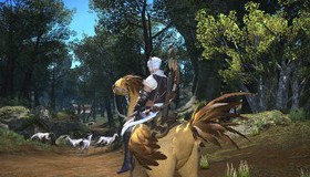 Последняя фантазия 14: Heavensward / Final Fantasy XIV: Heavensward (PS4)