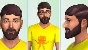 Семейка 4 / The Sims 4 (PS4)
