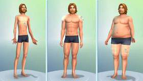 Семейка 4 / The Sims 4 (PS4)