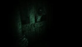 Пережить: Троица / Outlast Trinity (PS4)