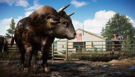 Фар Край 5 / Far Cry 5 (PS4)