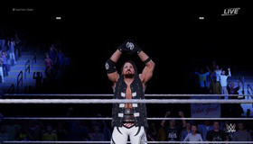 Рестлинг 2018 / WWE 2K18 (Nintendo Switch)