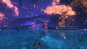  / Xenoblade Chronicles 2. Collector's Edition (Nintendo Switch)