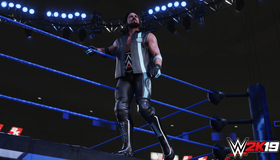 Рестлинг 2019 / WWE 2K19 (Xbox One)