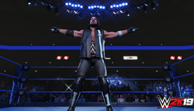 Рестлинг 2019 / WWE 2K19 (Xbox One)