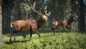 / theHunter: Call of the Wild. 2019 Edition (Xbox One)