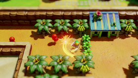 Легенда о Зельде: Link's Awakening (Ограниченное издание) / The Legend of Zelda: Link's Awakening. Limited Edition (Nintendo Switch)