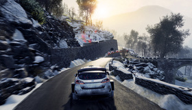 Чемпионат мира по ралли 8 (Коллекционное издание) / WRC 8: FIA World Rally Championship. Collector Edition (Nintendo Switch)