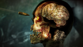 Зомби армия 4: Dead War / Zombie Army 4: Dead War (PS4)