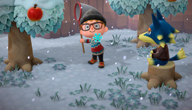  / Animal Crossing: New Horizons (Nintendo Switch)