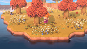  / Animal Crossing: New Horizons (Nintendo Switch)