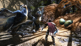 Королевства Амалура: Расплата (Коллекционное издание) / Kingdoms of Amalur: Re-Reckoning. Collector's Edition (Xbox One)