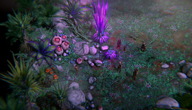  / Pathfinder: Kingmaker. Definitive Edition (Xbox One)