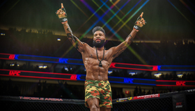  / EA Sports UFC 4 (PS4)