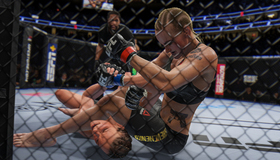  / EA Sports UFC 4 (PS4)