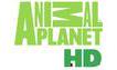 Animal Planet HD