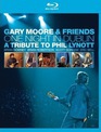 Гэри Мур и друзья: одна ночь в Дублине / Gary Moore & Friends: One Night In Dublin (2005) (Blu-ray)